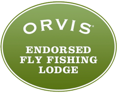 Orvis Endorsement