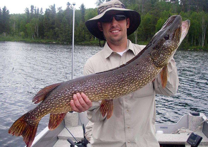 Guest Holding Caught Pike Fish Aspect Ratio 850 600