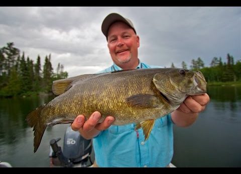 Best Topwater Bass Fishing | Ontario